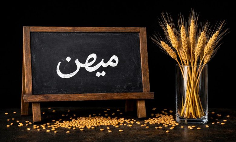 بذر گندم میهن